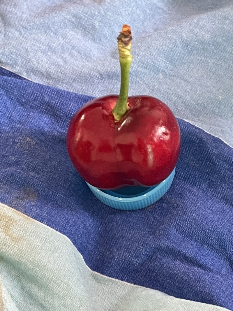 陕西樱桃上市了需要的时候联系