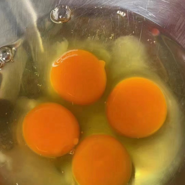 土鸡蛋