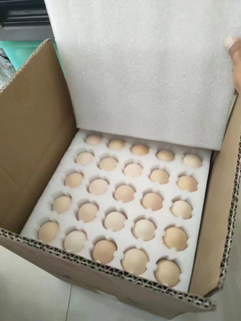 土鸡蛋