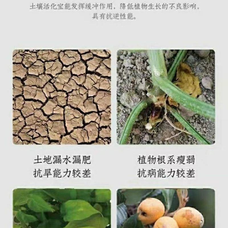 矿源黄腐酸钾山西大千林海叶面肥有机肥生根壮苗水溶肥抗硬水