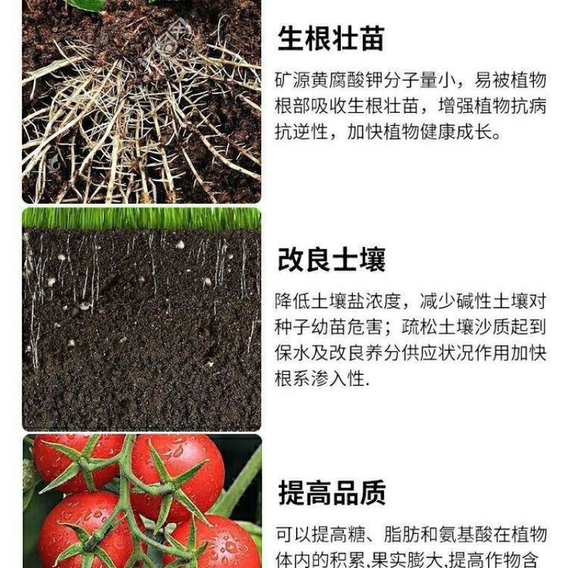 矿源黄腐酸钾山西大千林海叶面肥有机肥生根壮苗水溶肥抗硬水