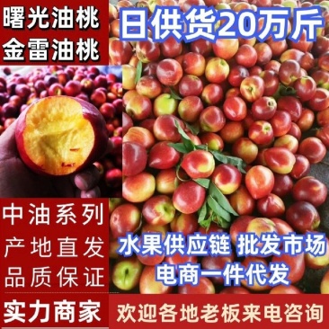 湖北桃曙光中油油桃一手货源大量现货供应按需发货