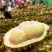 泰国金枕头榴莲鲜果一整个巴掌榴莲整箱一件代发批发非猫山王