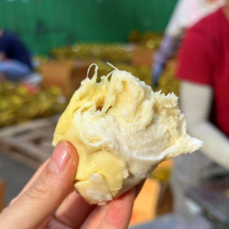 泰国金枕头榴莲鲜果一整个巴掌榴莲整箱一件代发批发非猫山王