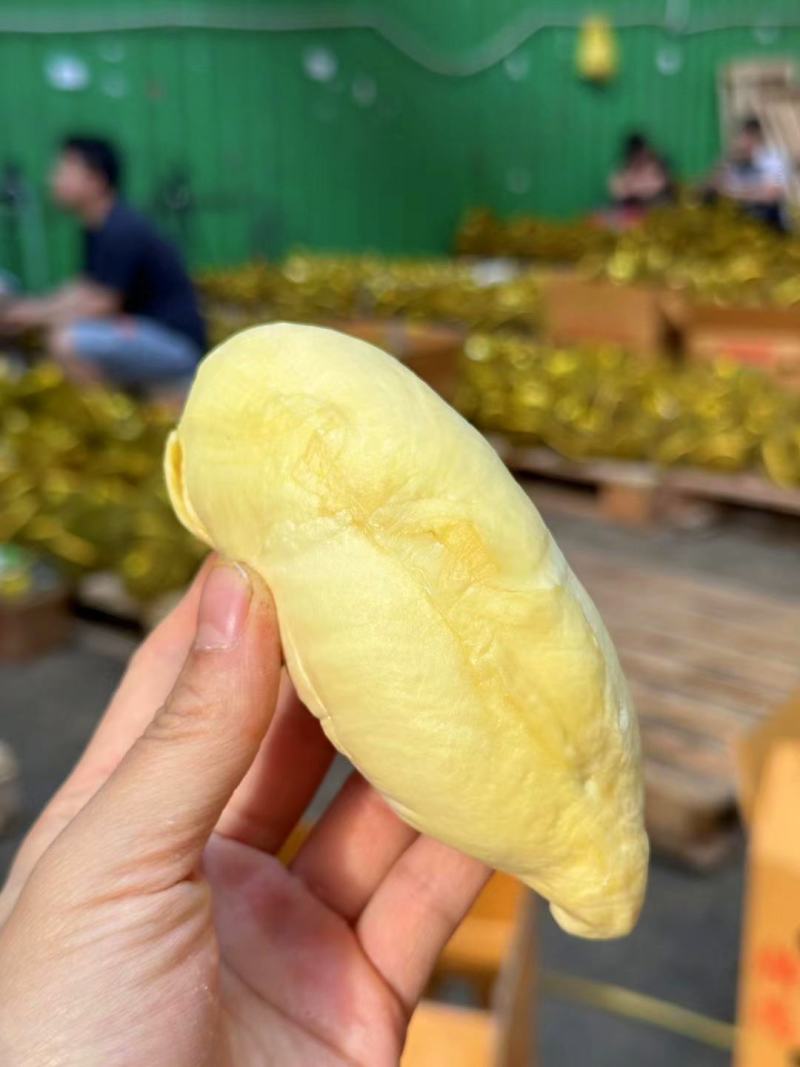 泰国金枕头榴莲鲜果一整个巴掌榴莲整箱一件代发批发非猫山王