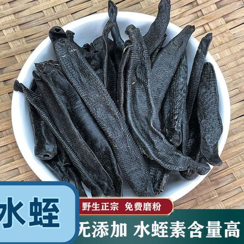 水蛭菲牛蛭清水货价格便宜性价比高平台交易售后