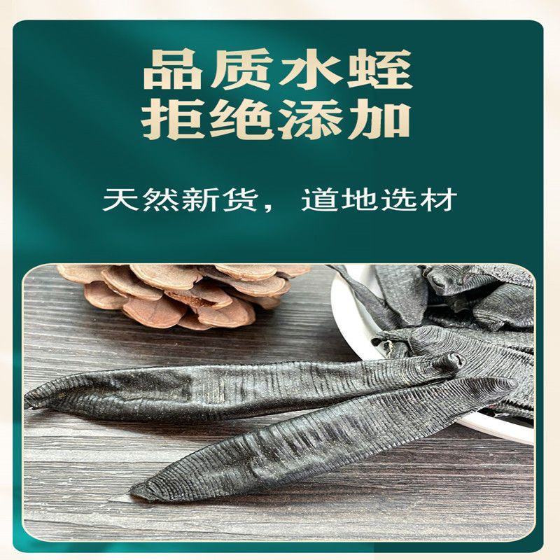 水蛭菲牛蛭清水货价格便宜性价比高平台交易售后