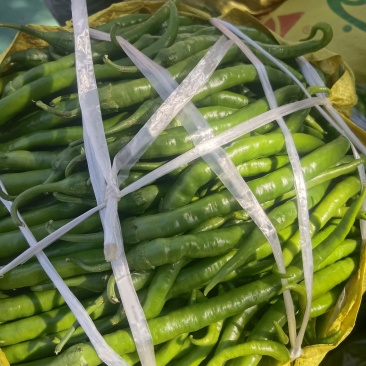 大量露天种植线椒上市，价格便宜，