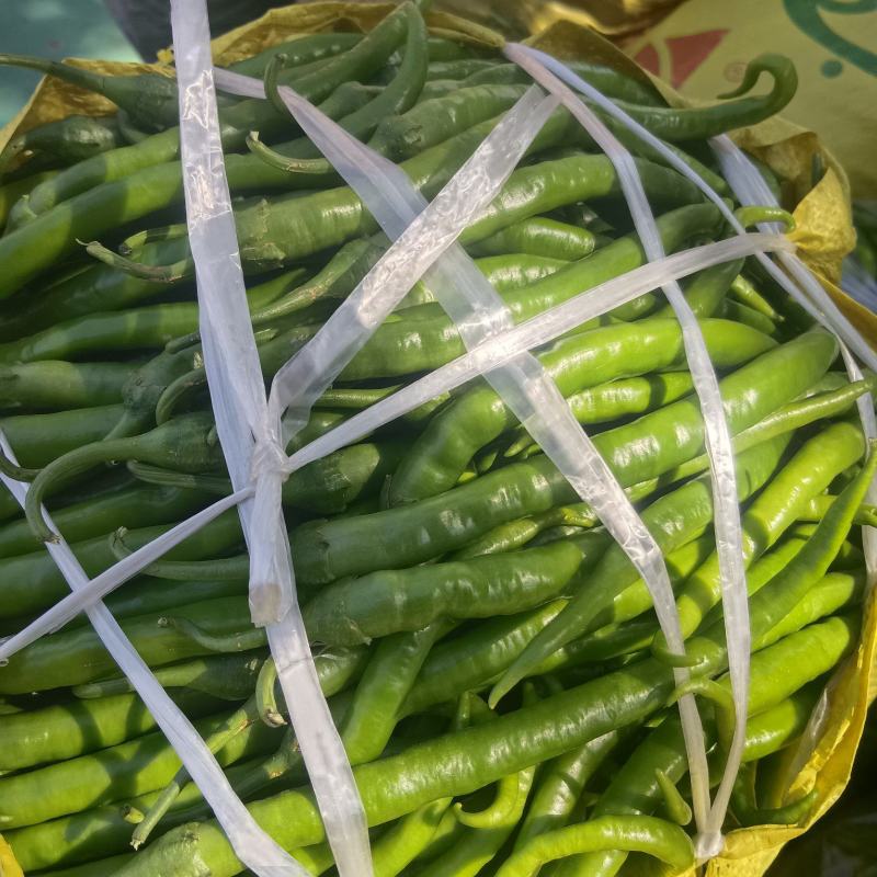 大量露天种植线椒上市，价格便宜，