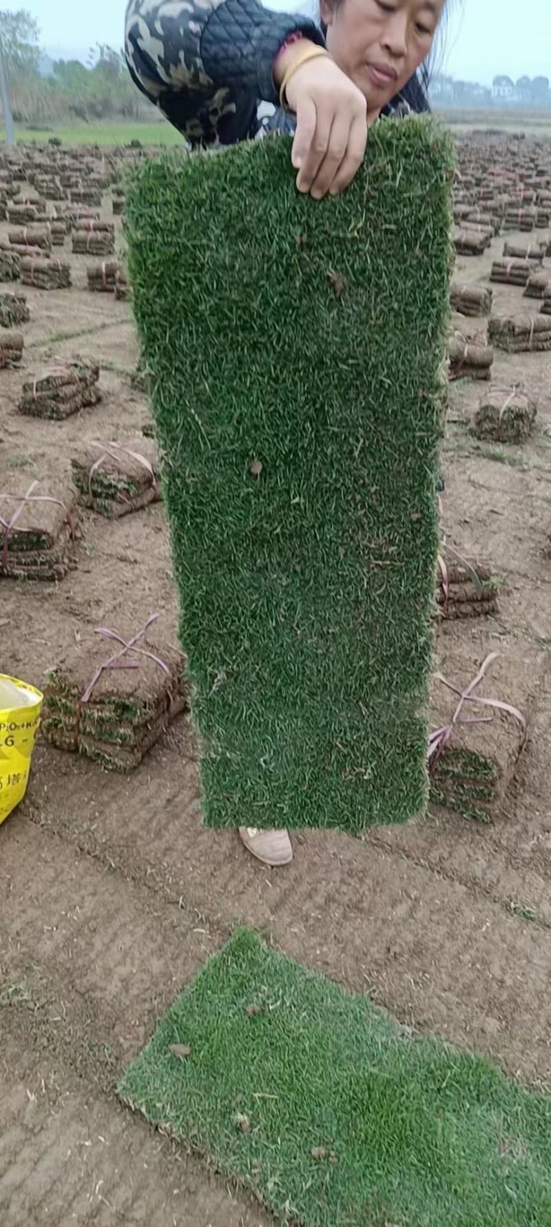 百慕大便宜处理