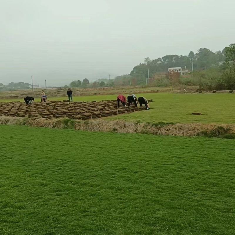 百慕大便宜处理