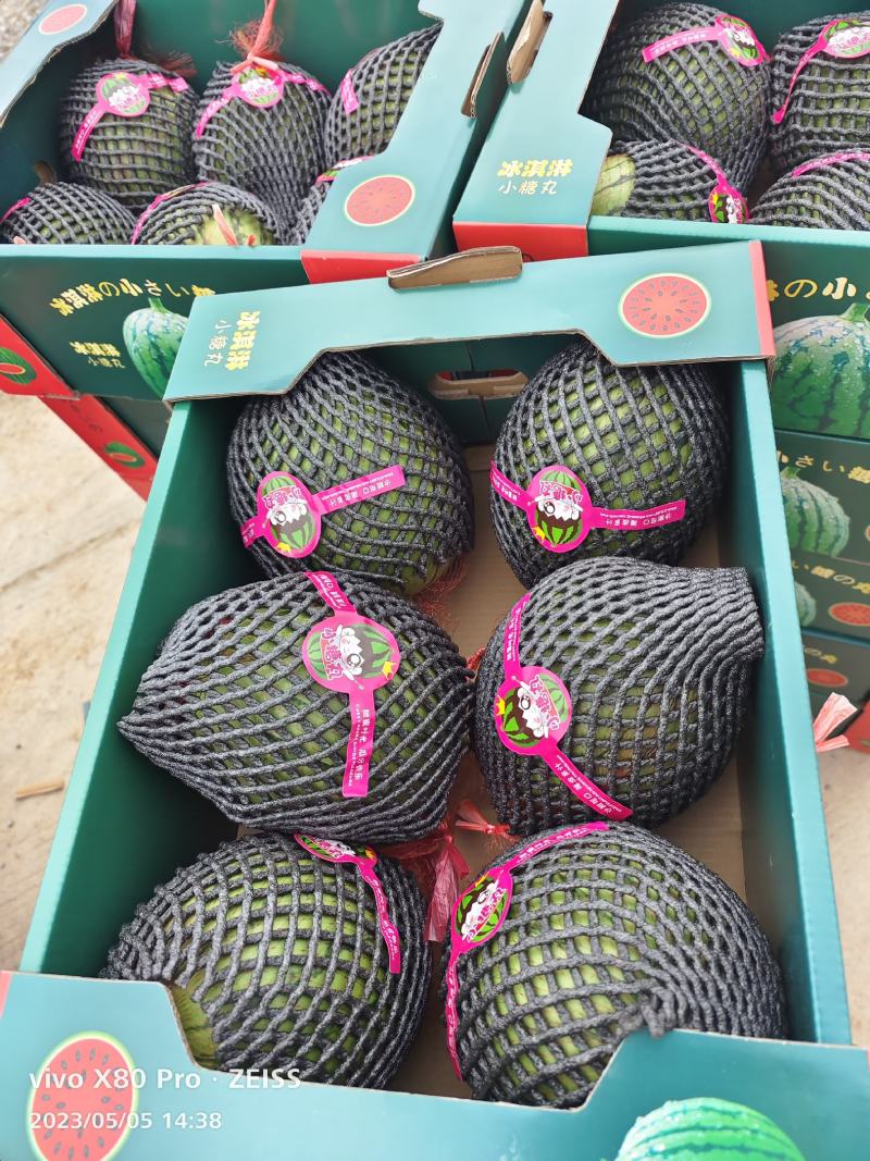陕西吊兰西瓜大量上市传说中的手剥皮西瓜