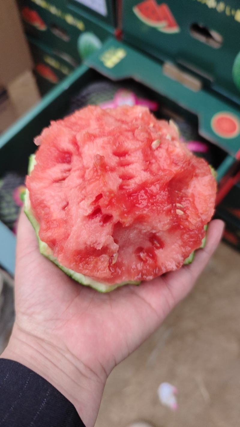 陕西吊兰西瓜大量上市传说中的手剥皮西瓜