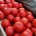 河北冷棚硬粉西红柿大量供应，果形圆，不空果，专业包装团队