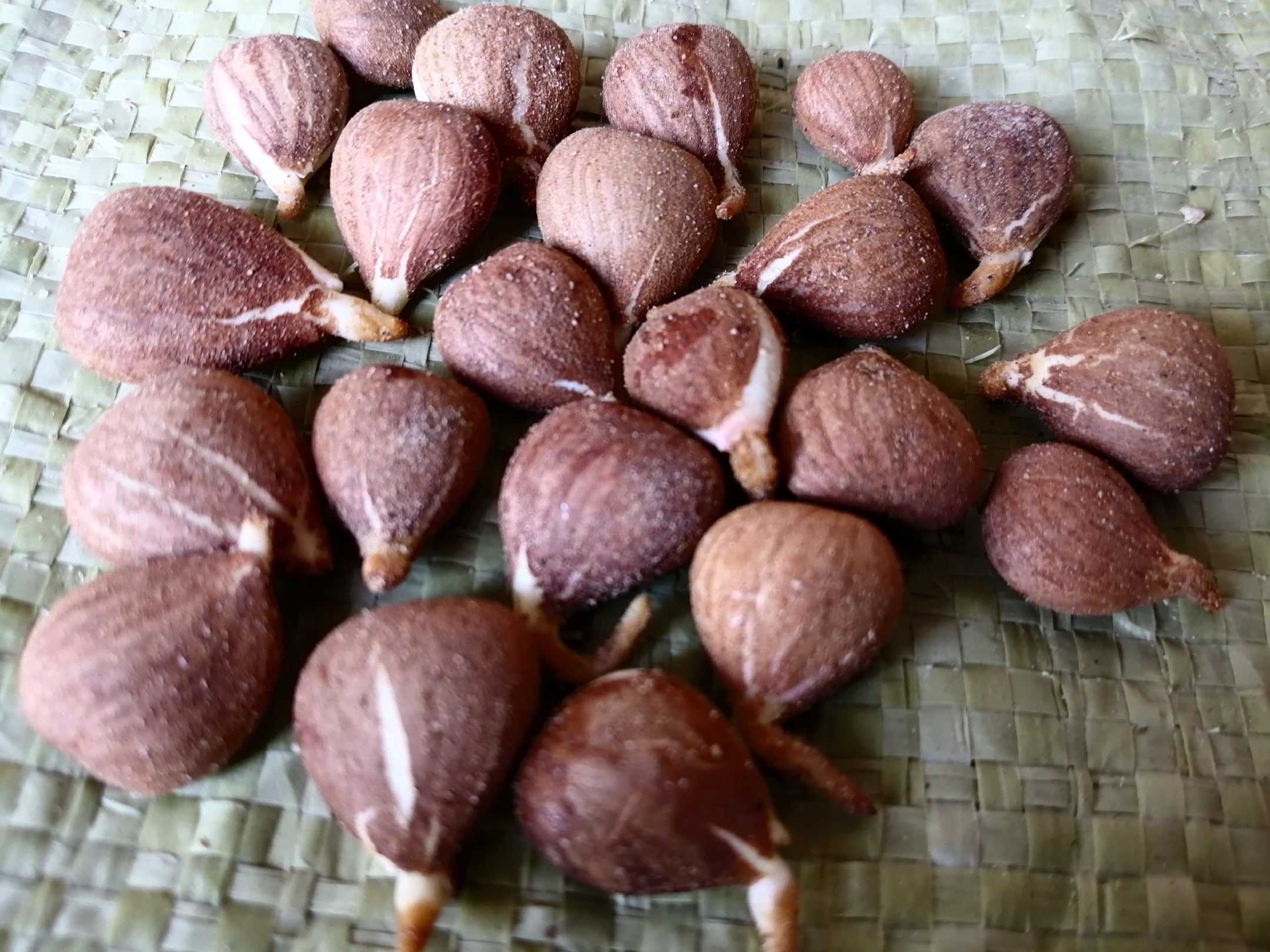 杏子与其他健康食材如燕麦、坚果搭配,展示其在早餐中的多样食用方式 杏子与健康饮食搭配