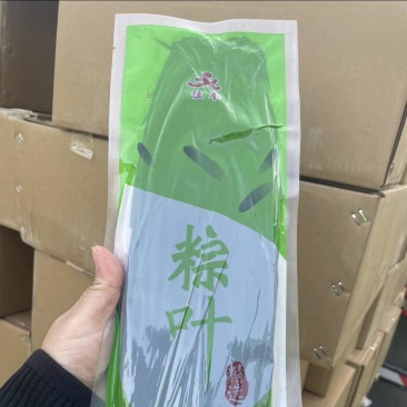 郑州佳禾新鲜抽真空粽叶50片/袋净重200g规格齐全