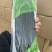 郑州佳禾新鲜抽真空粽叶50片/袋净重200g规格齐全
