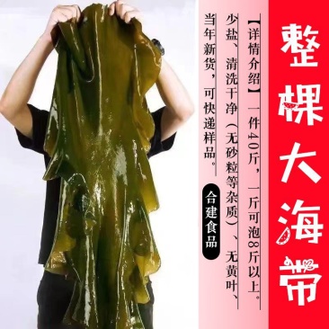 海带海带皮福建海带无沙海带一件30斤起