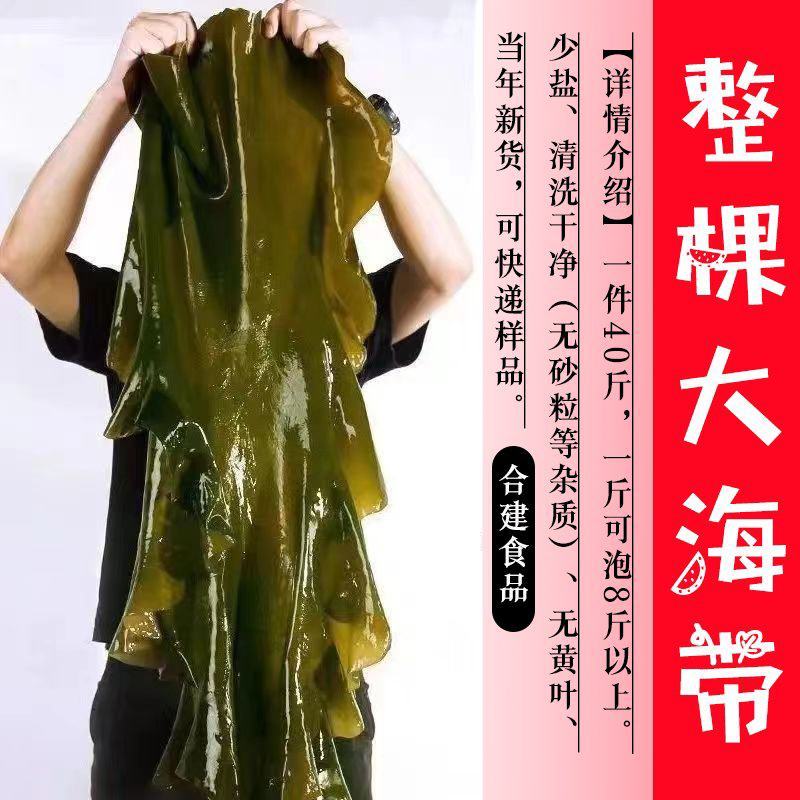 海带海带皮福建海带无沙海带一件30斤起
