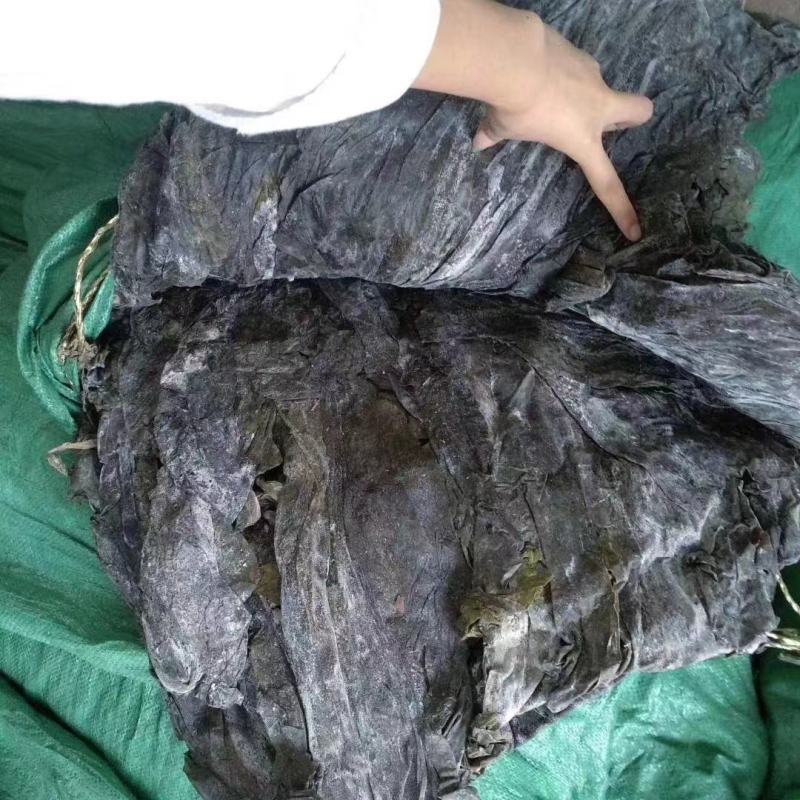海带海带皮福建海带无沙海带一件30斤起
