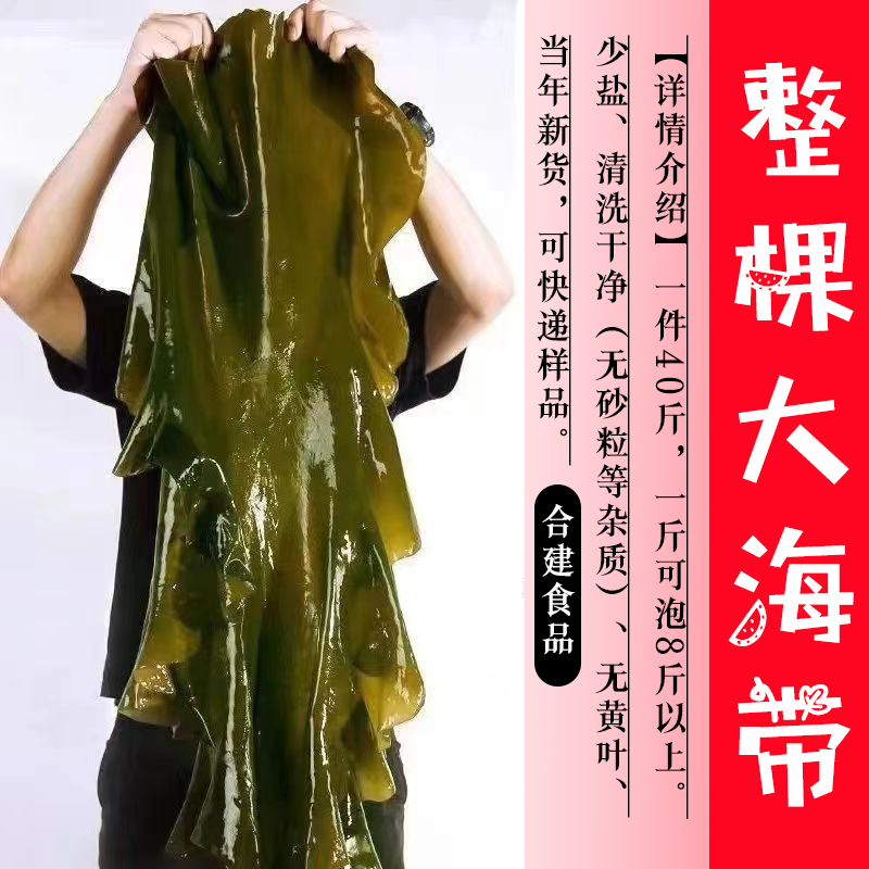 海带海带皮福建海带无沙海带一件30斤起