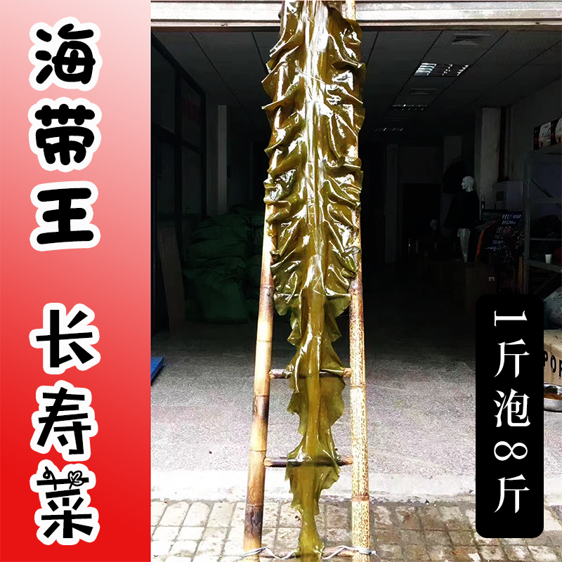 海带海带皮福建海带无沙海带一件30斤起