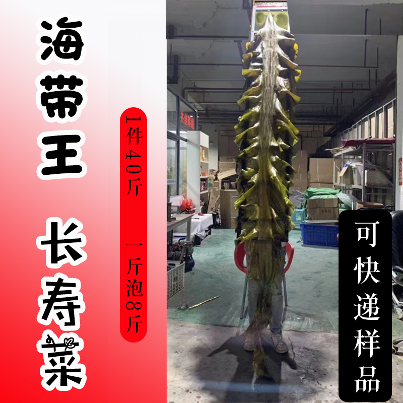 海带海带皮福建海带无沙海带一件30斤起