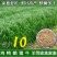 黑麦草种籽子四季多年生耐寒畜牧养殖草种鸡鸭牛羊鱼草牧草种