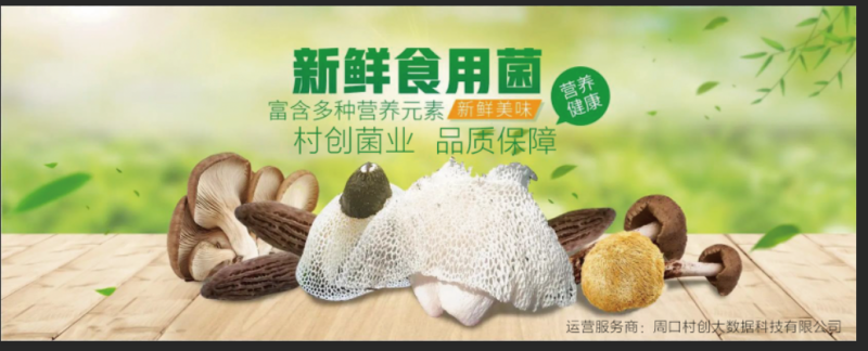 黑平菇