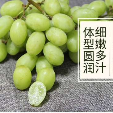 河北石家庄，维多利亚青提，产地直发，一手货源，欢迎来电。