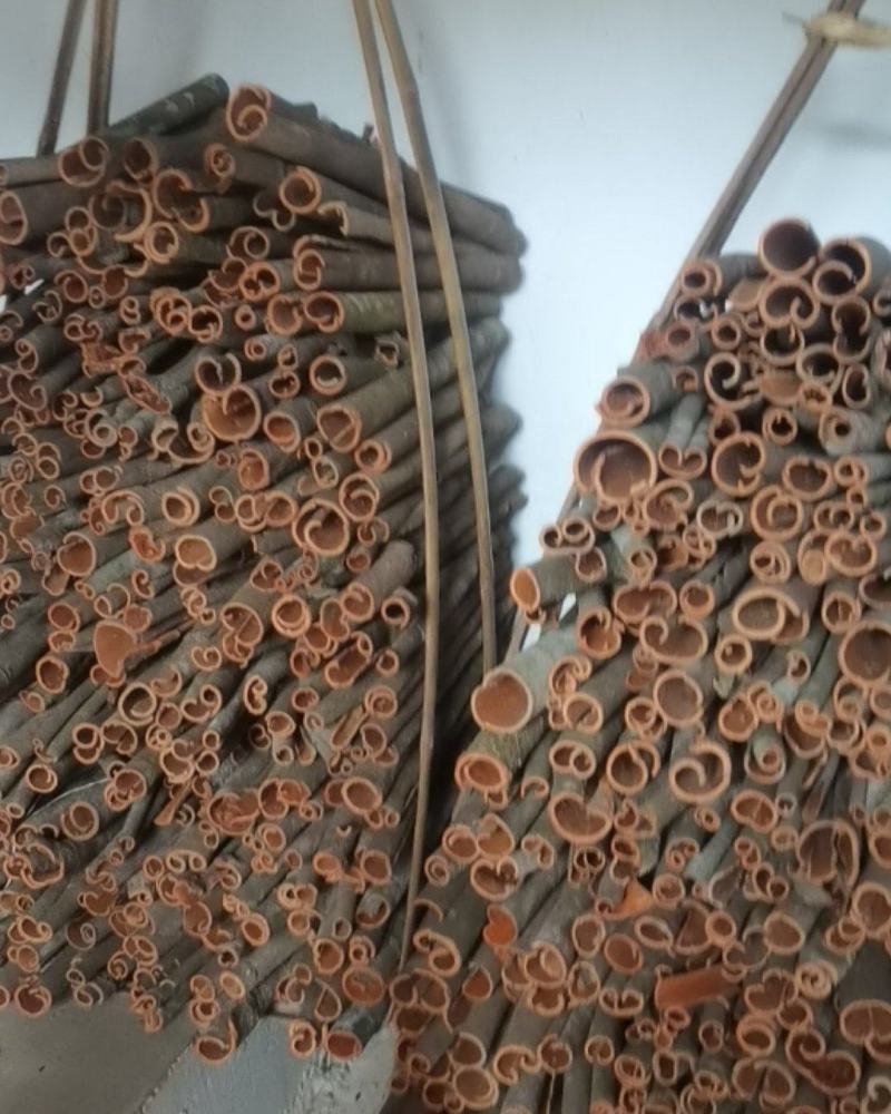 广西桂皮正宗本地桂皮，有差不多有俩千斤