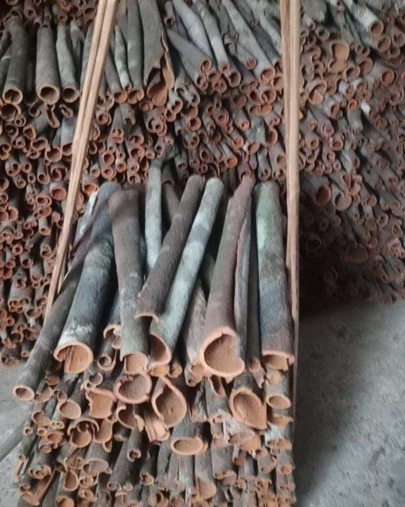 广西桂皮正宗本地桂皮，有差不多有俩千斤