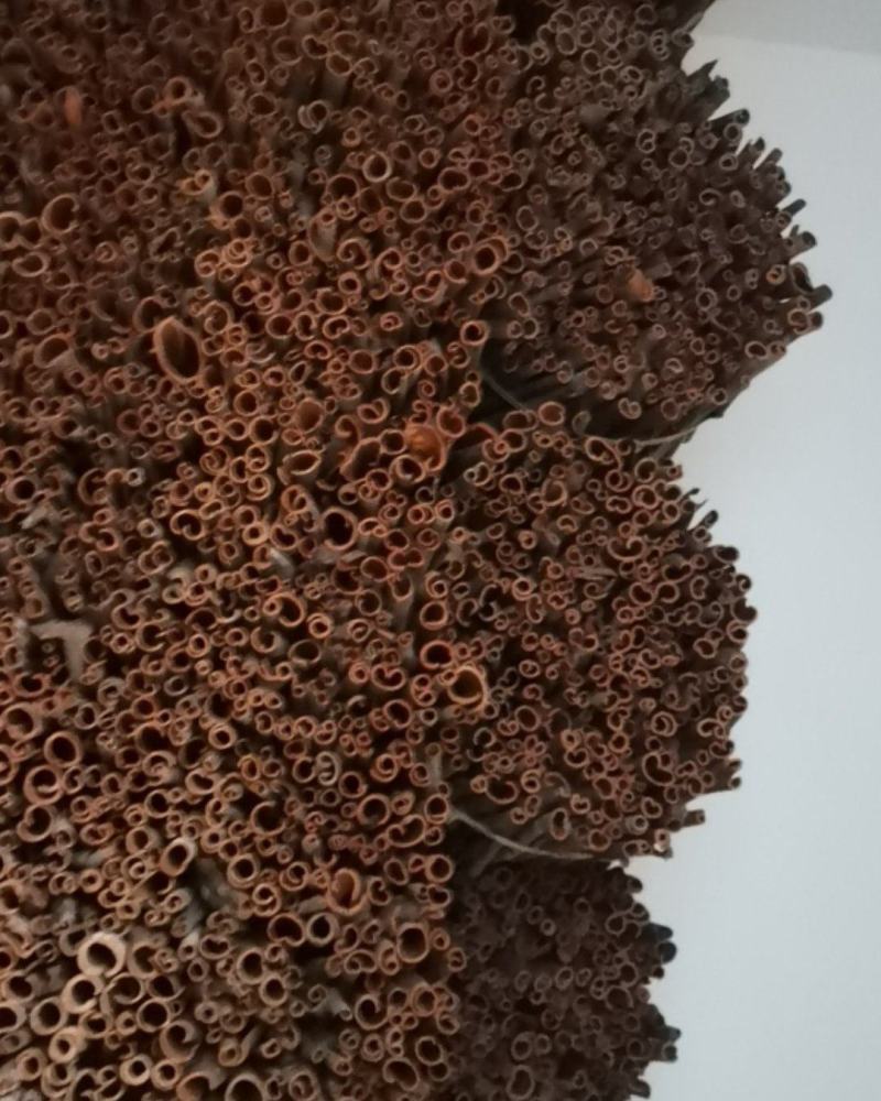 广西桂皮正宗本地桂皮，有差不多有俩千斤