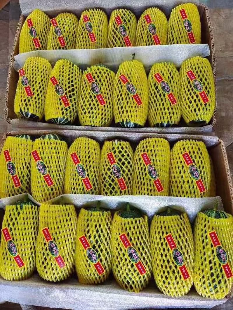 所有品种大量上市需要的联系了价格持续下滑