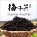[精品梅干菜]雪里红无沙低盐度干度9成香味扑鼻欢迎来电