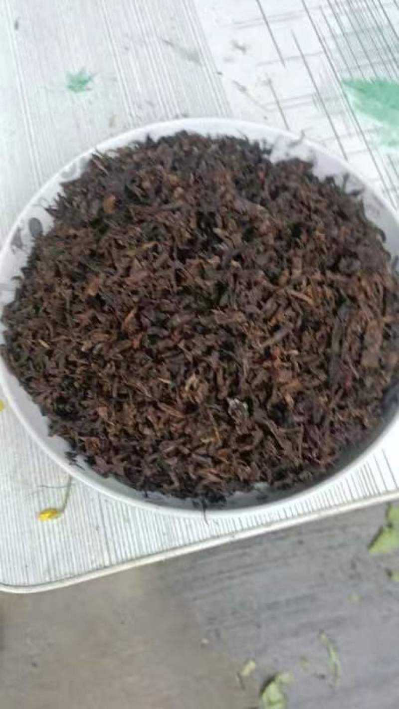 [精品梅干菜]雪里红无沙低盐度干度9成香味扑鼻欢迎来电