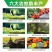 悦海喜来活性鱼蛋白壳寡糖果疏通用抗逆绿叶防裂增重活土促根