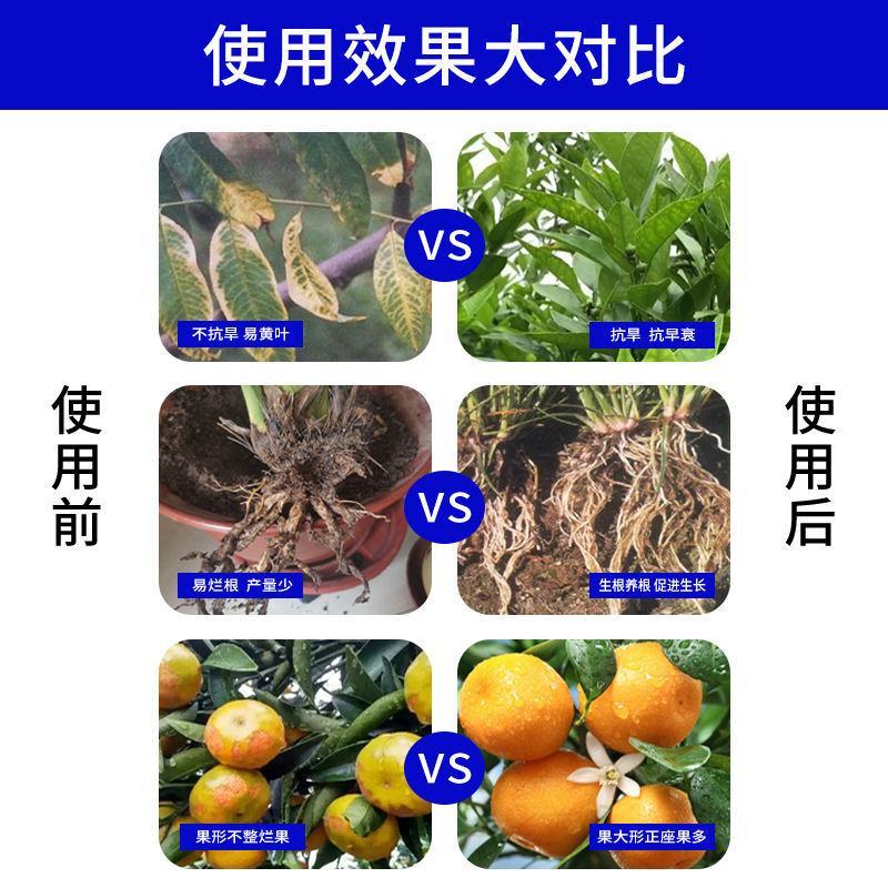 悦海喜来活性鱼蛋白壳寡糖果疏通用抗逆绿叶防裂增重活土促根