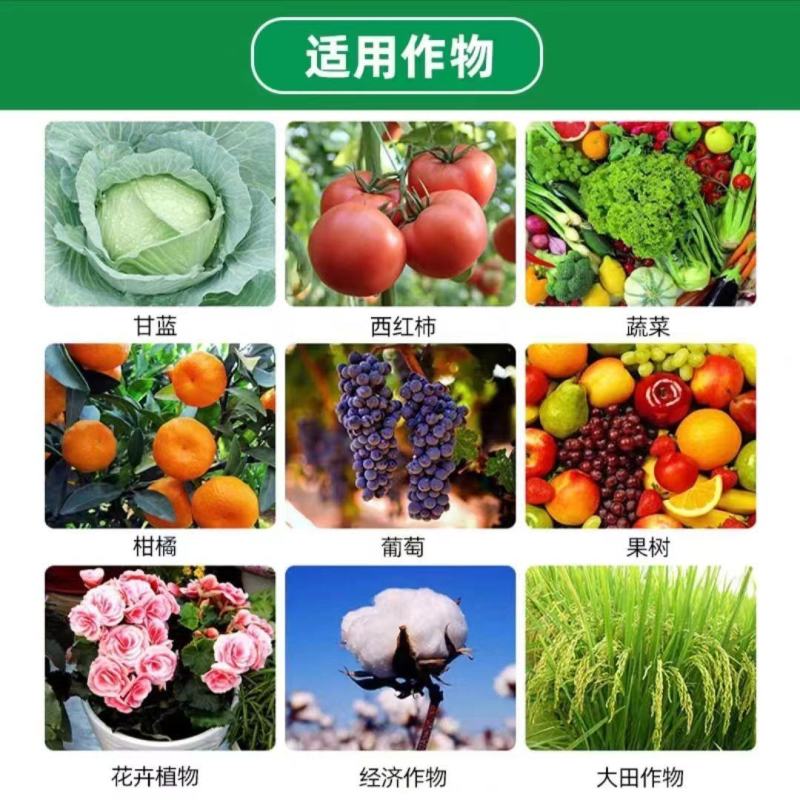 悦海喜来活性鱼蛋白壳寡糖果疏通用抗逆绿叶防裂增重活土促根