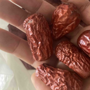 枣红枣药用红枣4元一斤长期供应各种药材