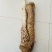 肉苁蓉
