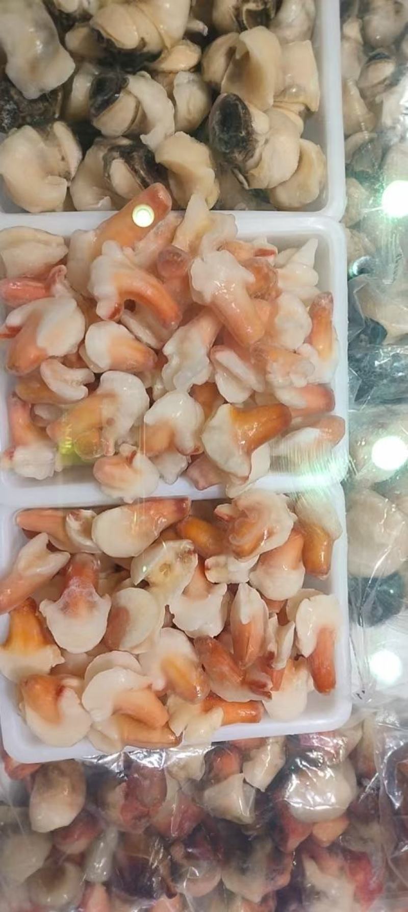 兰花蚌1kg装刺身寿司兰花棒火锅食材、