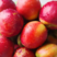 湖北金雷518油桃大量有货，甜度高，果肉脆，对接超市电商