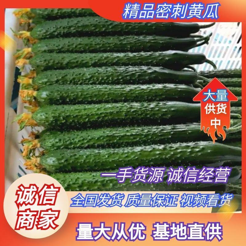 黄瓜密刺油瓜，色泽青黑油亮，口感好，耐贮运，协助找车配货