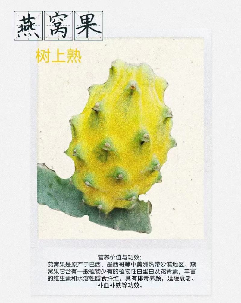 燕窝果供应全国几小时到货全国空运物流火龙果