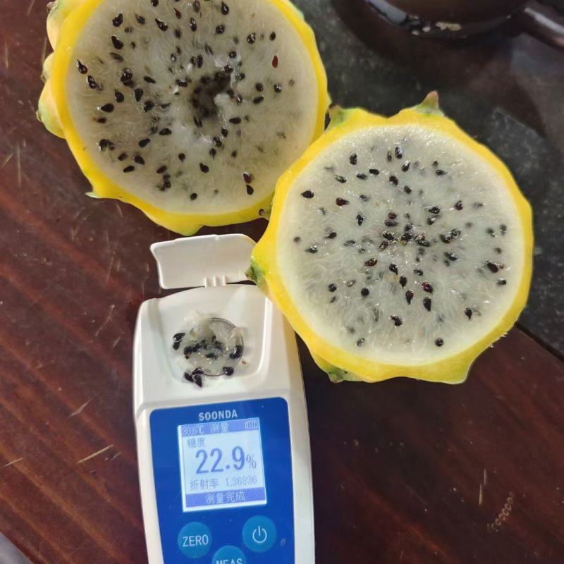 燕窝果供应全国几小时到货全国空运物流火龙果