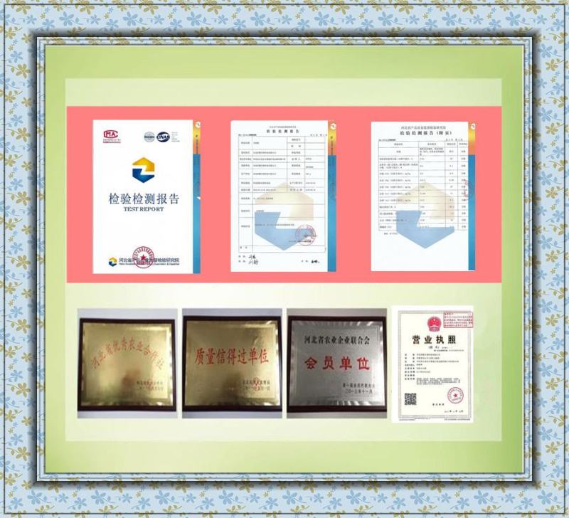 2亿微生物菌肥添加枯草，地衣芽孢杆菌，胶冻样芽孢杆菌