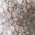 花生熟花生，熟花生粉干净无杂质，磨花生酱专用常年供货