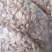 花生熟花生，熟花生粉干净无杂质，磨花生酱专用常年供货