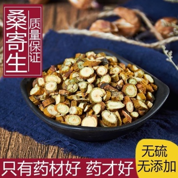 槲寄生中药材新货野生桑寄生片茶槲寄生干精选无硫天然